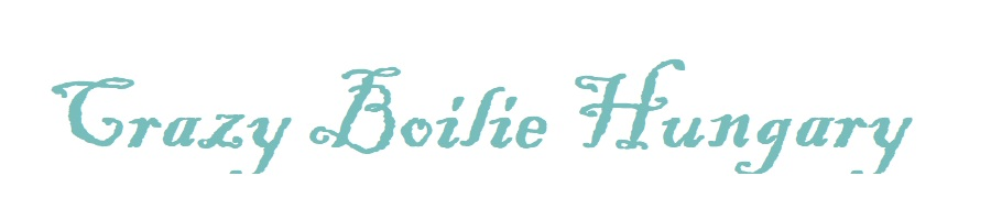 crazyboilie.hu